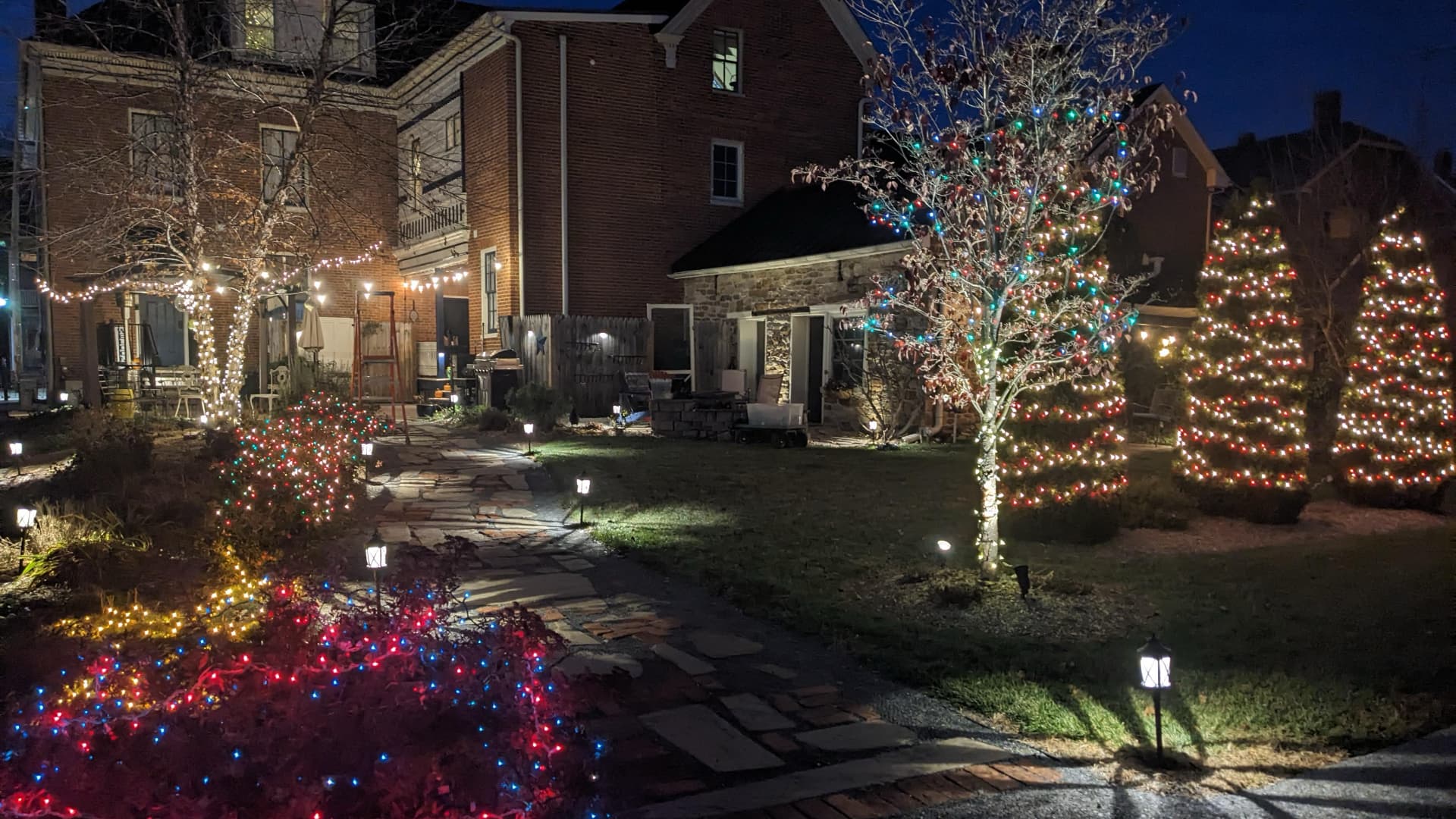A garden pathway illuminated by colorful holiday lights at night.